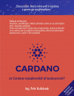Cardano: Je Cardano nejzajímavější síť budoucnosti?